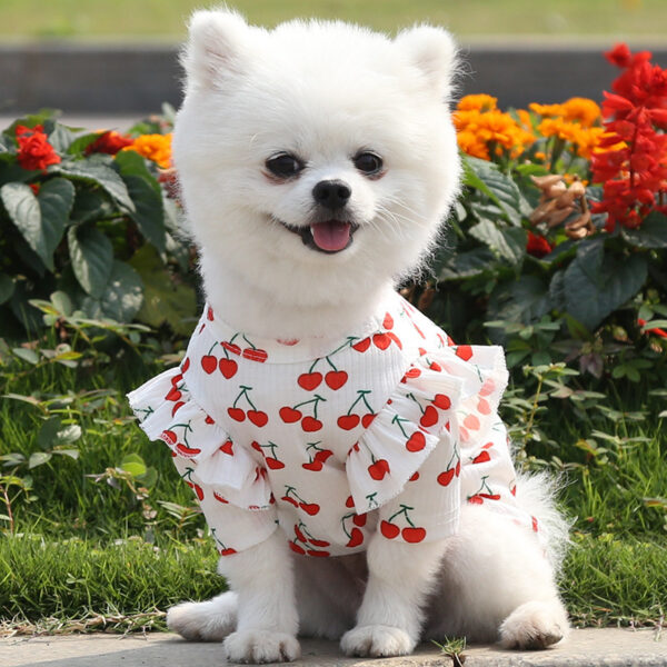Pet Dog Print Bottoming Shirt Coat - Image 8