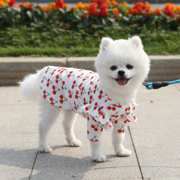 Pet Dog Print Bottoming Shirt Coat - Image 3