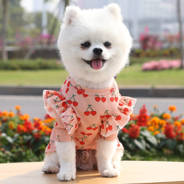 Pet Dog Print Bottoming Shirt Coat - Image 7